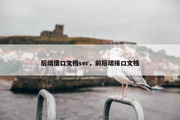 后端借口文档ser，前后端接口文档