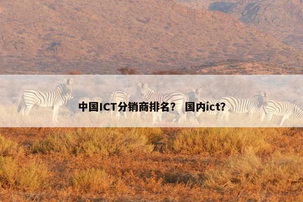 中国ICT分销商排名？ 国内ict？