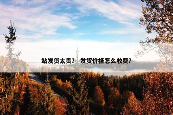 站发货太贵？ 发货价格怎么收费？