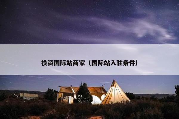 投资国际站商家（国际站入驻条件）