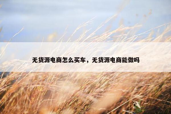 无货源电商怎么买车，无货源电商能做吗