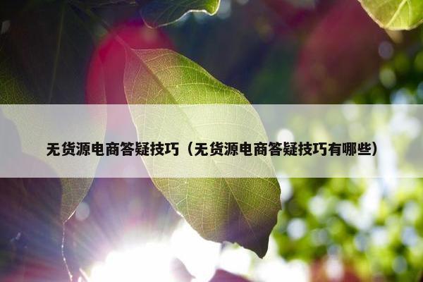 无货源电商答疑技巧（无货源电商答疑技巧有哪些）