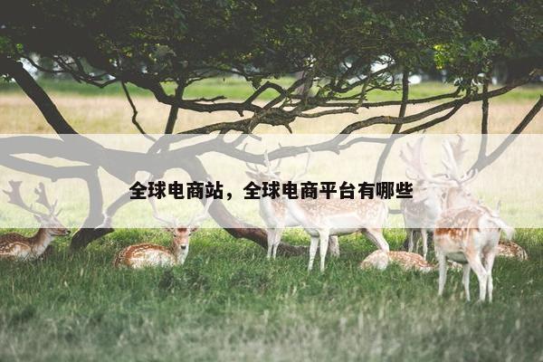 全球电商站，全球电商平台有哪些