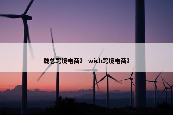 魏总跨境电商？ wich跨境电商？