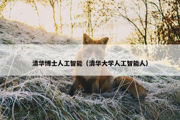清华博士人工智能（清华大学人工智能人）
