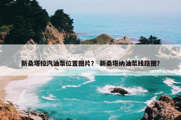 新桑塔拉汽油泵位置图片？ 新桑塔纳油泵线路图？