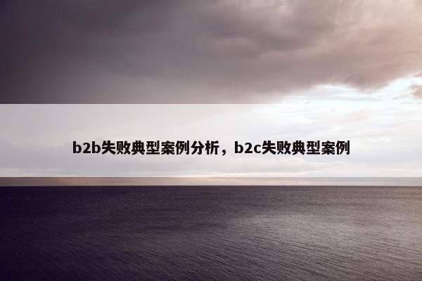 b2b失败典型案例分析，b2c失败典型案例