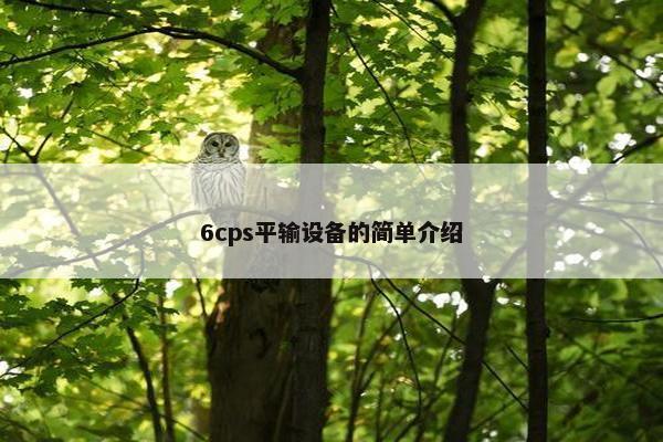 6cps平输设备的简单介绍