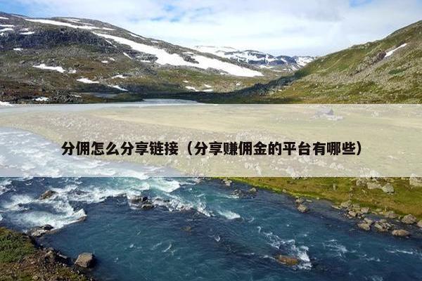 分佣怎么分享链接（分享赚佣金的平台有哪些）