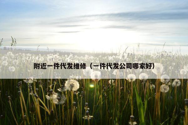 附近一件代发维修（一件代发公司哪家好）
