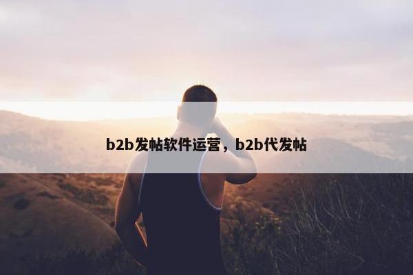 b2b发帖软件运营，b2b代发帖