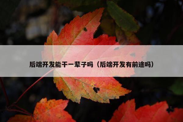 后端开发能干一辈子吗（后端开发有前途吗）