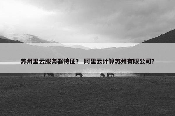 苏州里云服务器特征？ 阿里云计算苏州有限公司？