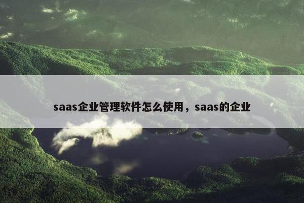 saas企业管理软件怎么使用，saas的企业
