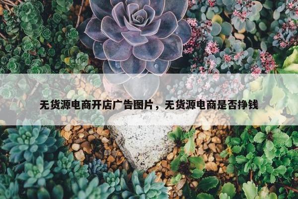无货源电商开店广告图片，无货源电商是否挣钱