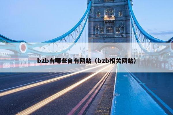 b2b有哪些自有网站（b2b相关网站）