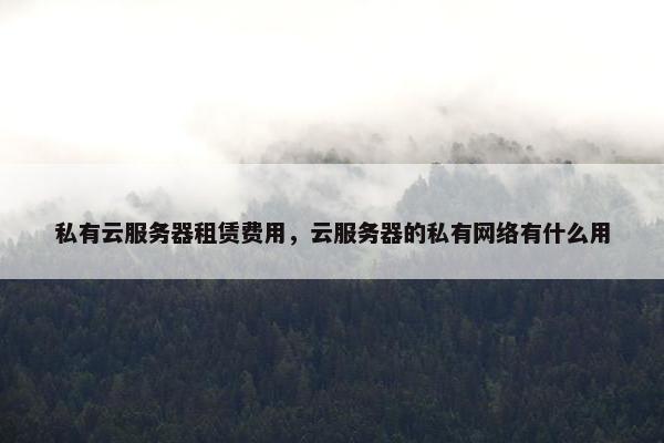 私有云服务器租赁费用，云服务器的私有网络有什么用