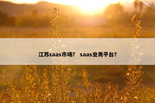 江苏saas市场？ saas业务平台？