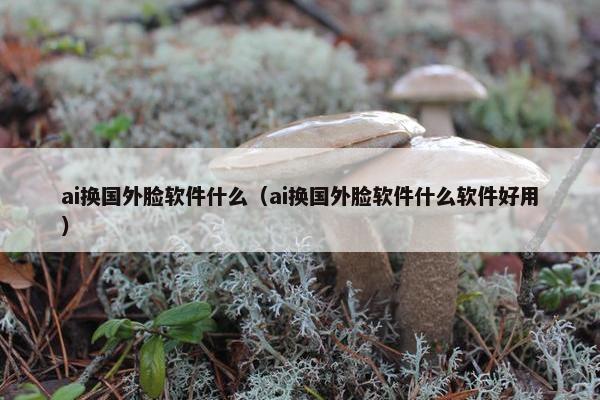 ai换国外脸软件什么（ai换国外脸软件什么软件好用）