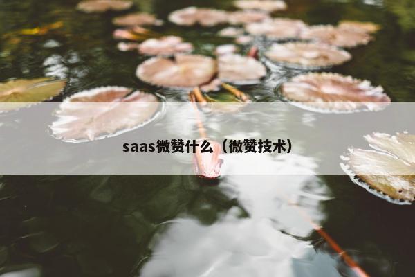 saas微赞什么(微赞技术)