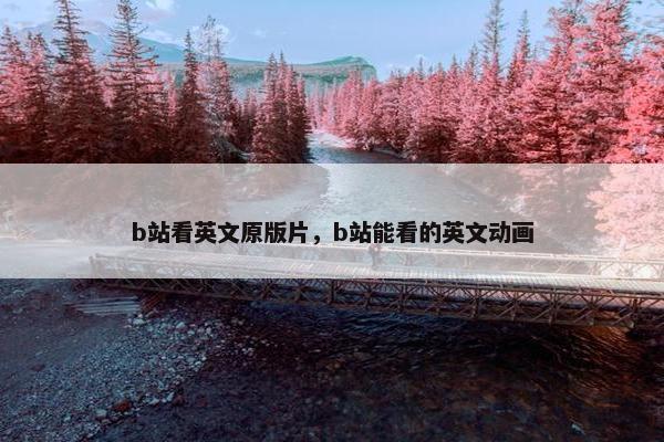 b站看英文原版片，b站能看的英文动画
