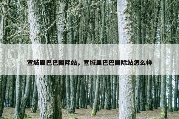 宣城里巴巴国际站，宣城里巴巴国际站怎么样