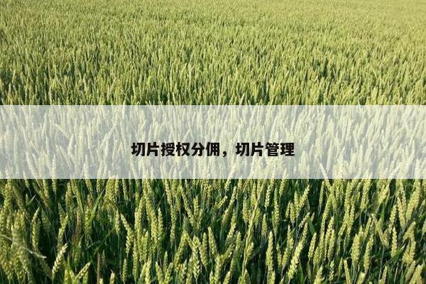 切片授权分佣，切片管理