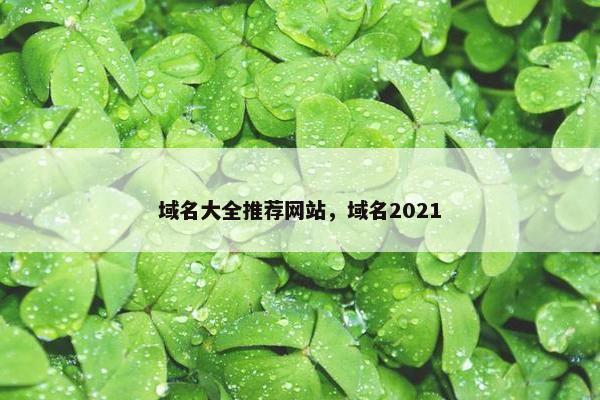域名大全推荐网站，域名2021