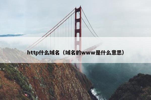http什么域名（域名的www是什么意思）