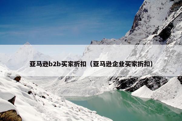 亚马逊b2b买家折扣（亚马逊企业买家折扣）