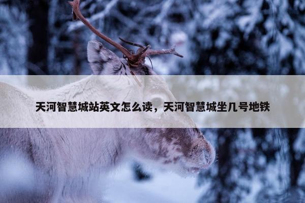 天河智慧城站英文怎么读，天河智慧城坐几号地铁