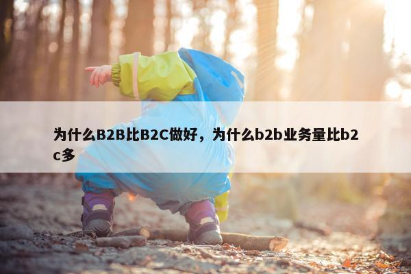 为什么B2B比B2C做好,为什么b2b业务量比b2c多