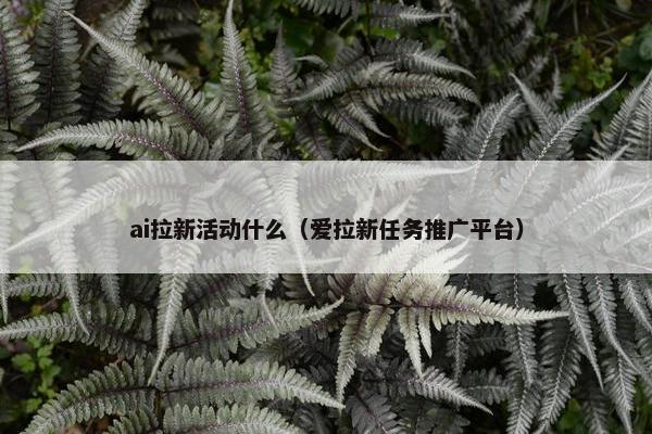 ai拉新活动什么（爱拉新任务推广平台）