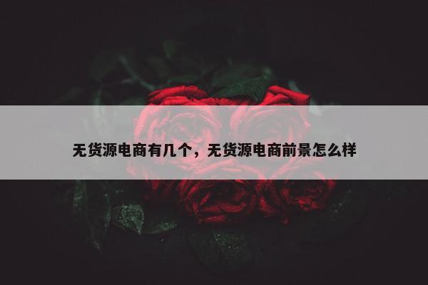 无货源电商有几个，无货源电商前景怎么样