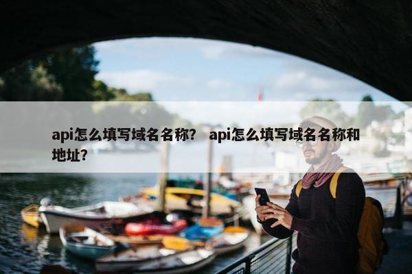 api怎么填写域名名称？ api怎么填写域名名称和地址？