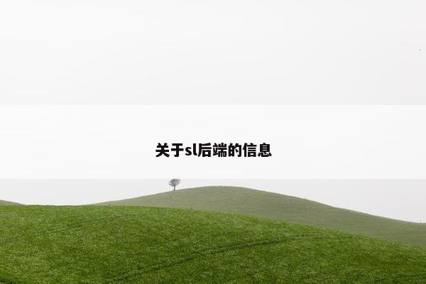 关于sl后端的信息