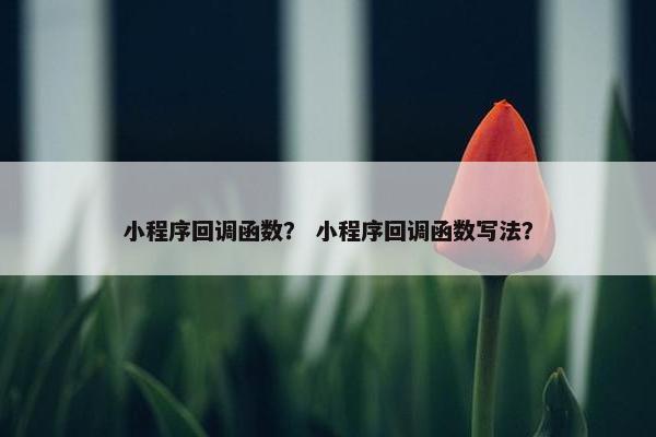 小程序回调函数？ 小程序回调函数写法？