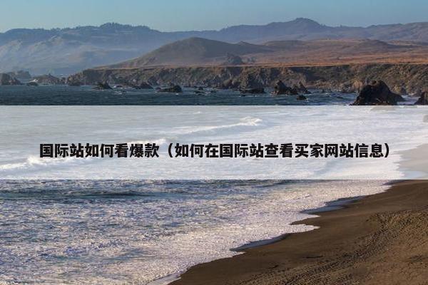 国际站如何看爆款（如何在国际站查看买家网站信息）