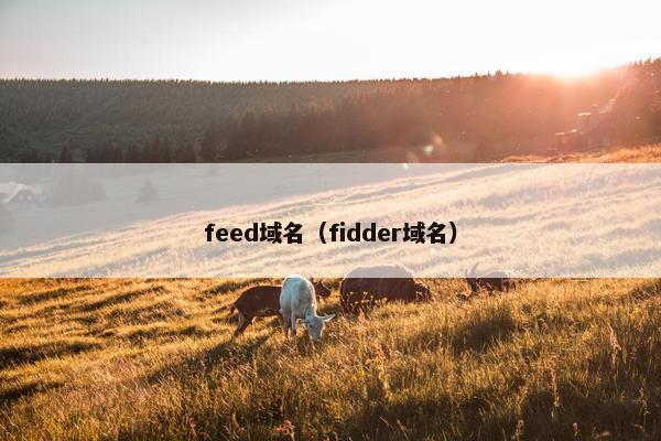 feed域名（fidder域名）