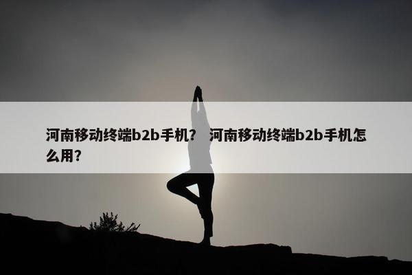 河南移动终端b2b手机？ 河南移动终端b2b手机怎么用？