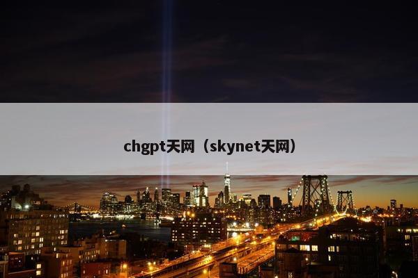 chgpt天网（skynet天网）