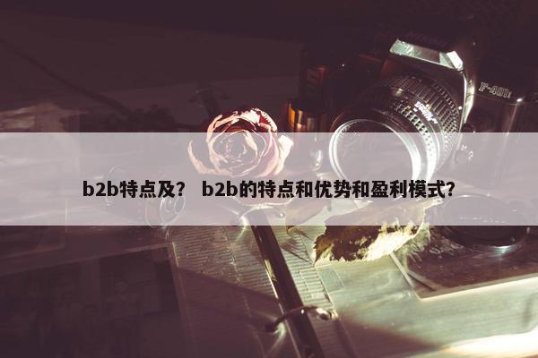 b2b特点及？ b2b的特点和优势和盈利模式？