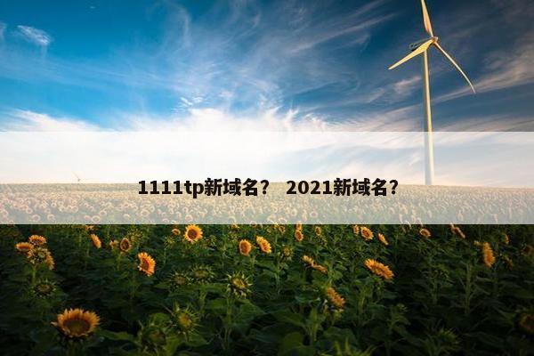 1111tp新域名？ 2021新域名？