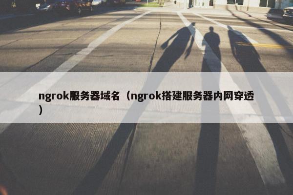 ngrok服务器域名（ngrok搭建服务器内网穿透）
