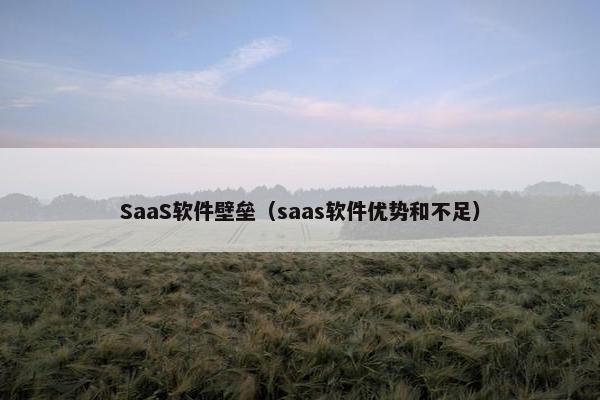 SaaS软件壁垒(saas软件优势和不足)