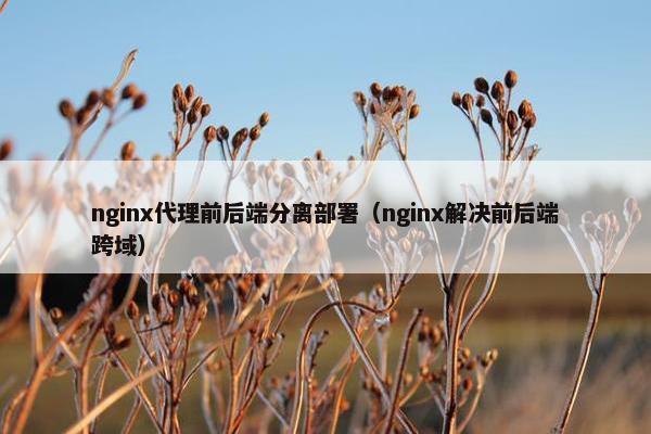 nginx代理前后端分离部署（nginx解决前后端跨域）