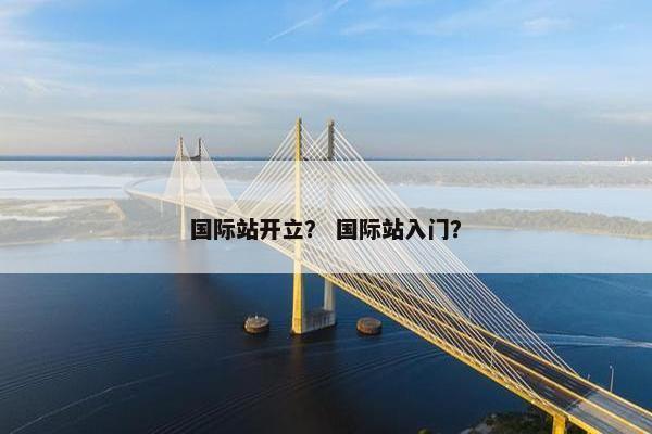 国际站开立？ 国际站入门？