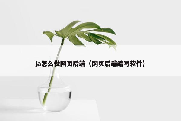 ja怎么做网页后端（网页后端编写软件）