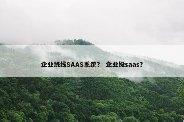 企业班线SAAS系统? 企业级saas?