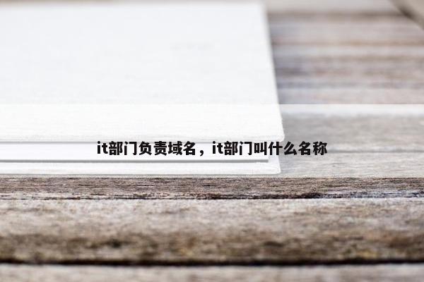 it部门负责域名，it部门叫什么名称